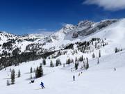 Piste au télésiège Sugarloaf