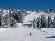 Descente Torlaufstrecke