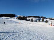 Piste d'école de ski facile
