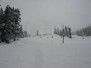 Pistes au Armstrong Express