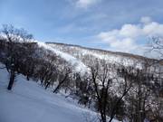 Vue sur le Heavenly Canyon