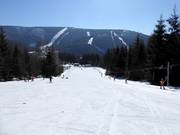 Piste d'entraînement Harmony