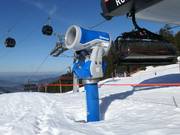 Enneigement à Mellau