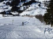 Zachhof Babylift - Téléski à pioches