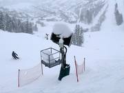 Fortes chutes de neige