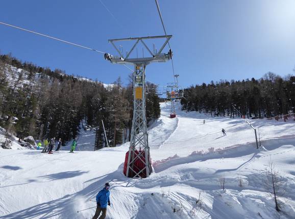 Patrullarve-Blauherd