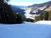 Piste difficile Raut-Vierschach