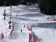 Bon plan pour les enfants : 