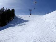 Piste de slalom géant de la Coupe du monde au Chuenisbärgli à Adelboden