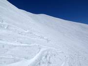 Larges pentes de poudreuse