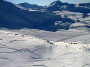 Beaucoup d'espace pour les freeriders