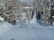 Faregg Lift - Téléski à pioches