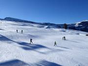 Piste facile au télésiège Panorama