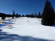 Piste facile Armentarola