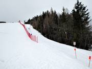 Olympialift - Téléski à pioches