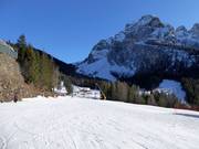 Piste d'entraînement Campo Scuola Baby au Piani di Pezzè