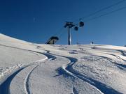 Neige poudreuse à la Hohe Mut