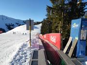 Märchenwald - Tapis roulant/Moving Carpet