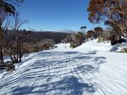 Village Trail dans la zone intermédiaire