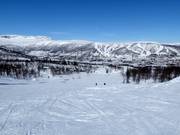 Piste facile Kikut n° 68