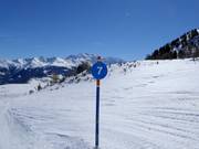Balisage des pistes