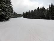 Piste de liaison plate entre le téléski Stübenwasenlift et le téléski Kapellenlift