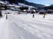 Domaines skiables pour les débutants en Autriche – Débutants Loser – Altaussee
