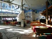 Arena-Bar dans la Weltcuparena Zauchensee