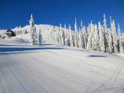 Départ de la piste Cahilty