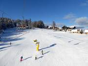 Idéal pour les familles et les débutants