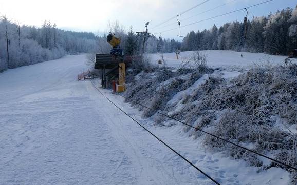 Stations de ski familiales Cham – Familles et enfants Hohenbogen – Neukirchen bei Hl. Blut