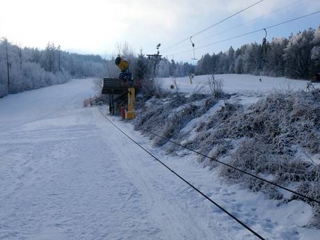 Stations de ski familiales Haut-Palatinat (Oberpfalz) – Familles et enfants Hohenbogen – Neukirchen bei Hl. Blut