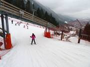 La piste facile rejoint la piste de difficulté moyenne