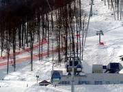 Zapovedniy les - 8 places | Télécabine (monocâble à mouvement unidirectionnel)