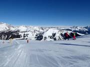 Piste facile n° 6 Paradiso