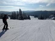 Piste facile Zeigerabfahrt