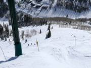 Falaises près du Lady Morgan Express