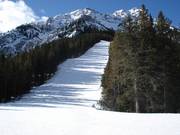Large et raide descente en forêt