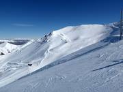 Extrêmement raide : Platter Splatter