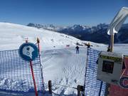 Carrot Crono run (piste de course)