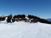 Chalet de restauration recommandé : Jochstub'n