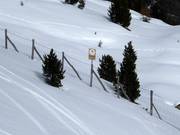 Les zones forestières protégées ne doivent pas être traversées.