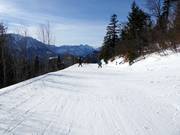 Piste familiale Loser