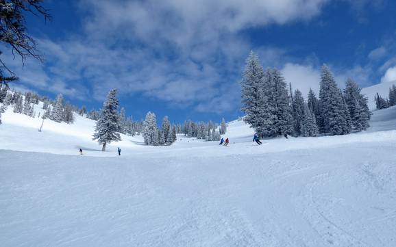 Diversité des pistes Chaîne du Teton – Diversité des pistes Grand Targhee