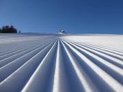 Des rainures parfaites dans la neige