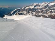 Bonne préparation des pistes