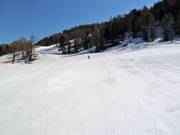 Zone pour débutants aux remontées Härdera sur la Hannigalp