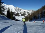 Départ descente Hahnlgraben