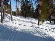Pistes de ski de fond à Pyhä