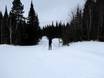 Ski nordique Canada central – Ski nordique Le Massif de Charlevoix